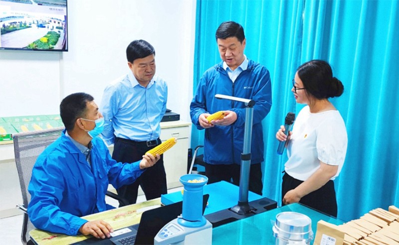 甘肅省地方金融監(jiān)管局、甘肅證監(jiān)局領(lǐng)導(dǎo)蒞臨敦煌種業(yè)調(diào)研指導(dǎo)