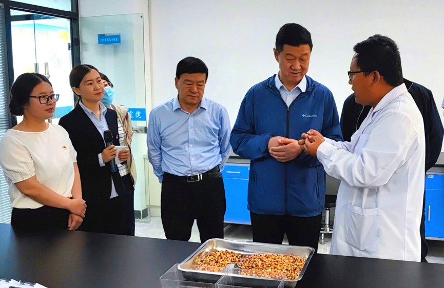 甘肅省地方金融監(jiān)管局、甘肅證監(jiān)局領(lǐng)導(dǎo)蒞臨敦煌種業(yè)調(diào)研指導(dǎo)